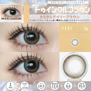 MOLAK 1day Twinkle Brown モラク ワンデー トゥインクルブラウン